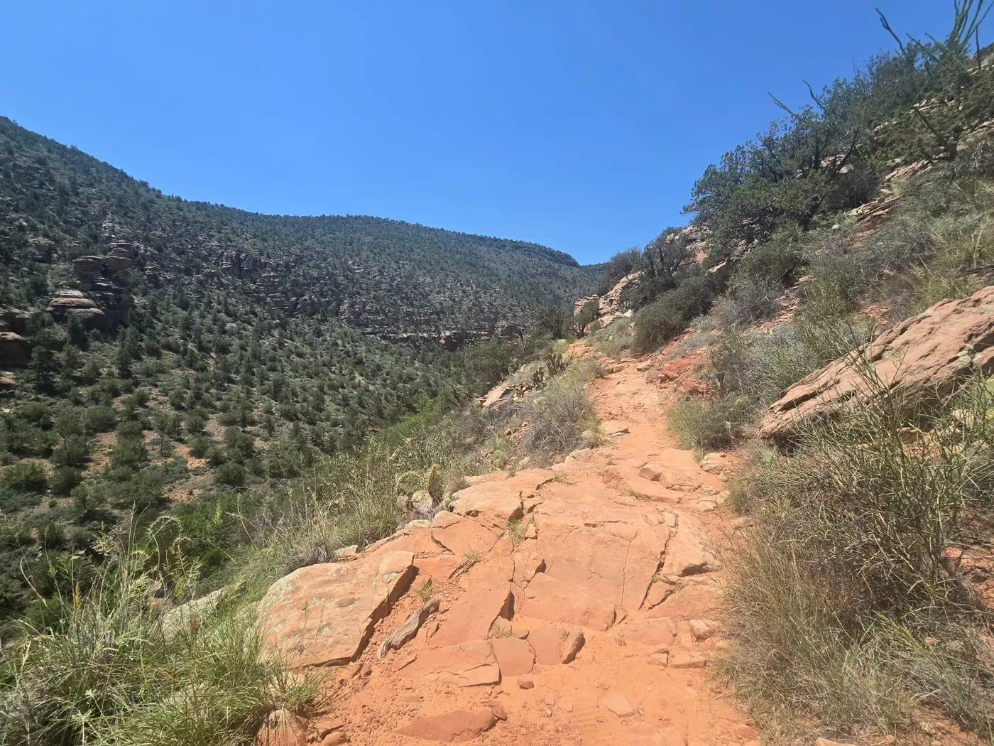 Rocky section of Bell Trail traversing an exposed canyon slope