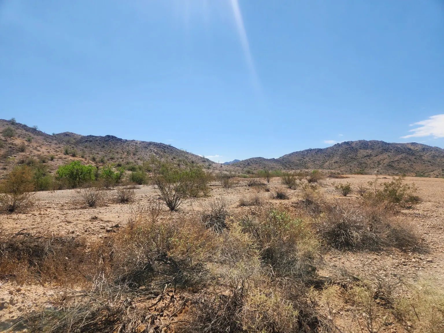 Sonoran Desert vegetation and low mountains inside Estrella Mountain Regional Park