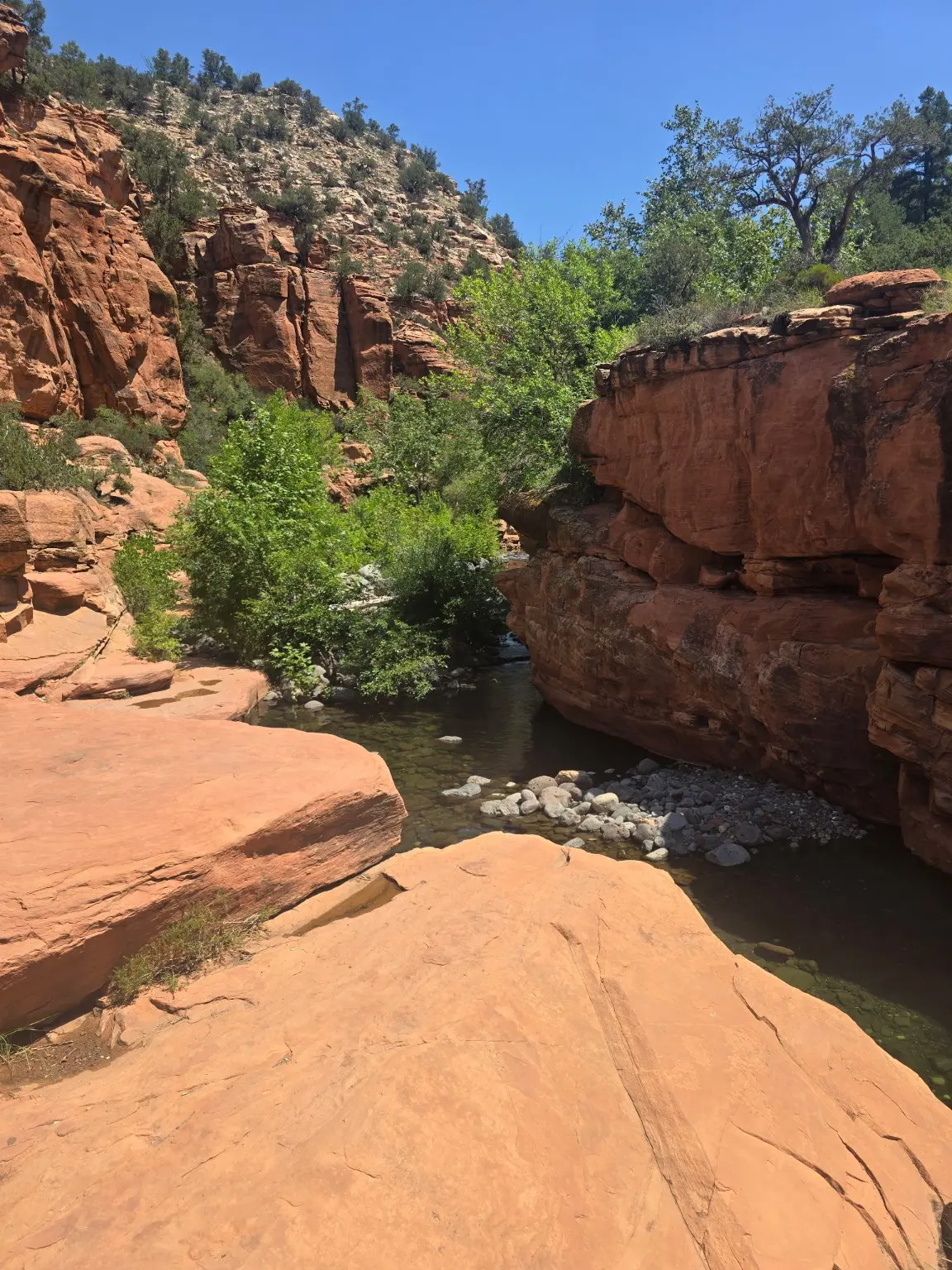 Red sandstone walls and Wet Beaver Creek flowing through a green canyon